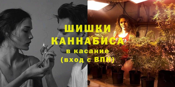 гидра Аркадак