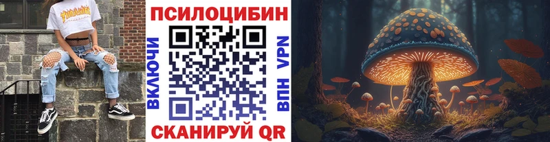 закладка  mega вход  Псилоцибиновые грибы мицелий  Балахна 